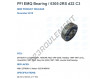 6305-2RS-D22-C3-PFI