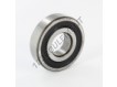 6307-RS1-SKF