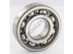 6307-SKF