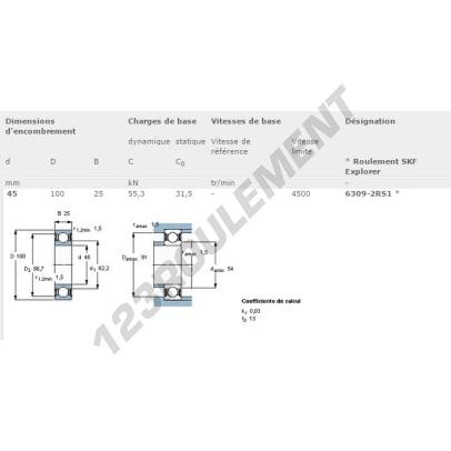 6309-2RS-SKF