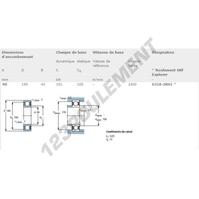 6318-2RS1-SKF
