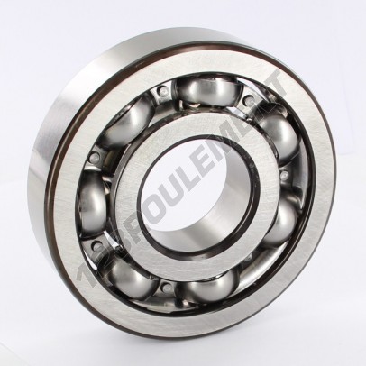 6409-SKF