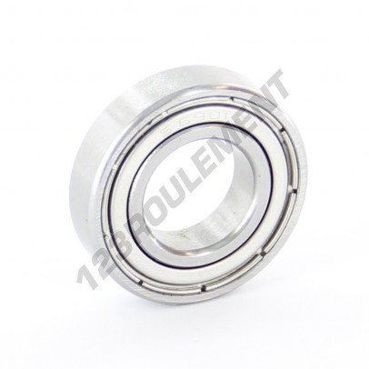 6901-ZZ-INOX