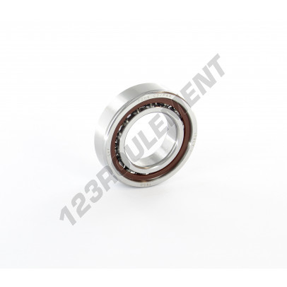 7006-CD-P4A-SKF