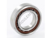 7006-CDGA-P4A-SKF