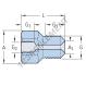 Graissage monopoint - 729655-150MPA-SKF