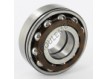 BA2B445029-SKF
