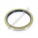 Joint SPI - BB-100X125X13-NBR