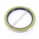 Joint SPI - BB-100X130X13-NBR