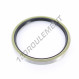 Joint SPI - BB-128X150X15-NBR