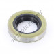 Joint SPI - BB-16X30X6-NBR