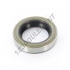 Joint SPI - BB-19X30X7-NBR