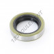 Joint SPI - BB-20X31X7-NBR