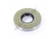 BB-25X62X10-NBR