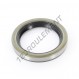 Joint SPI - BB-40X55X8-NBR