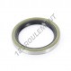 Joint SPI - BB-45X60X7-NBR