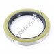 Joint SPI - BB-62X85X10-NBR