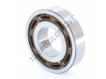 BB1-3194-SKF