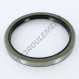 Joint SPI - BC-100X120X12-NBR