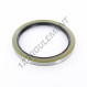 Joint SPI - BC-145X180X15-NBR