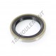 Joint SPI - BC-27X37X5-NBR
