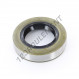 Joint SPI - BC-31X52X12-NBR