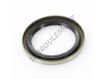 BC-54X74X8-NBR