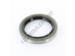 BC-55X73X10-NBR