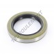 Joint SPI - BC-60X85X13-NBR