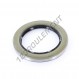 Joint SPI - BC-60X85X8-NBR