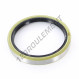 Joint SPI - BC-90X110X13-NBR