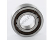 BC1-0313-SKF