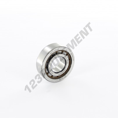 BC1-0538-SKF