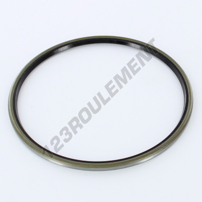 BD-100X110X4-NBR