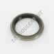 Joint SPI - BD-16X21X3-NBR