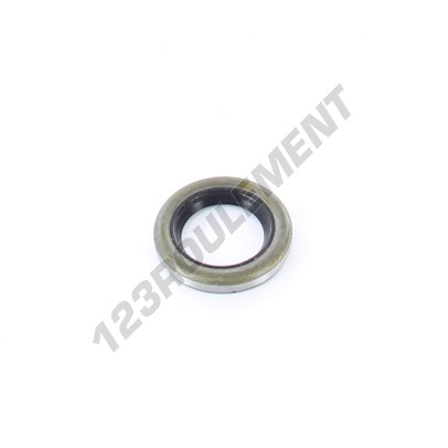 BD-16X25X4-NBR
