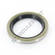 Joint SPI - BD-22X30X4-NBR