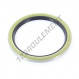 Joint SPI - BD-60X75X5-NBR