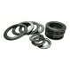 BDS4090-CGB-SKF