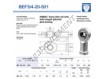 BEF3-4-20-501-DURBAL