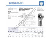 BEF3-8-20-501-DURBAL