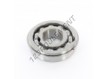 BL305-NR-C3-NSK
