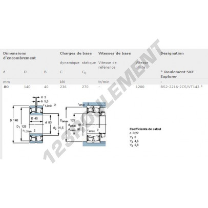 BS2-2216-2CS-VT143-SKF