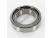 BT1-0252-QVA621-SKF