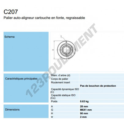 C207-SNR