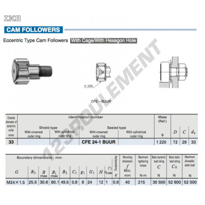CFE24-1-BUUR-IKO
