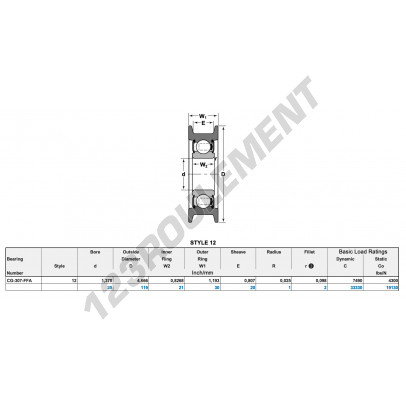 CG-307-FFA-NTN