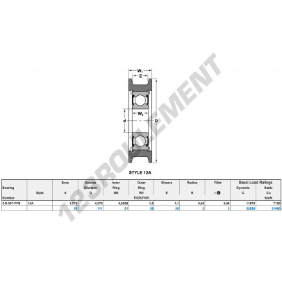 CG-307-FFB-NTN