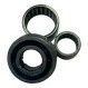 CSK25-PP-C5-STIEBER