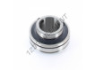 CUC206-19-SNR